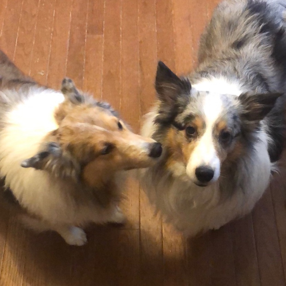 Meet your Posher, Gg